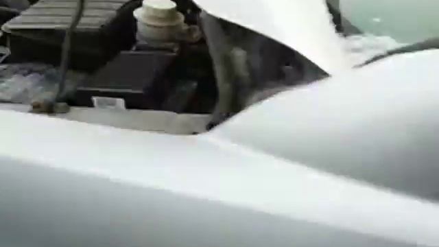 mitsubishi space wagon 2,4 GDI смотреть онлайн