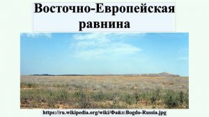 Восточно-Европейская равнина