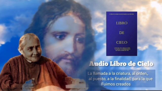 3) Volumen 7 || Titulos 12 al 18|| смотреть онлайн