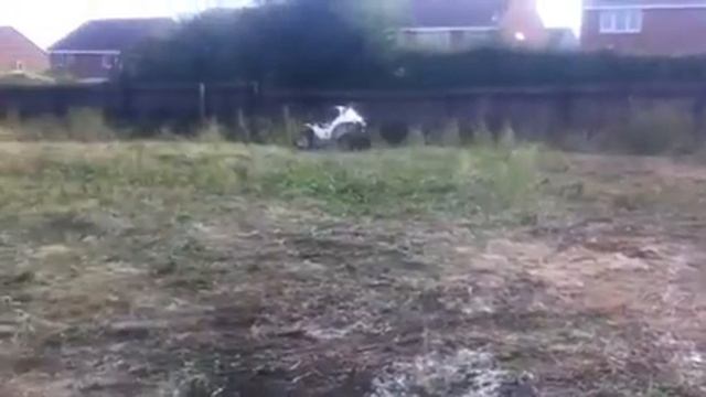 Haval buggy olliver смотреть онлайн