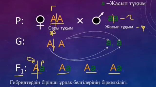 Тұқымқуалаушылық, Қалменова З смотреть онлайн