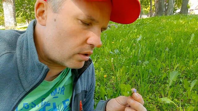 Ответный квест: загадки и головоломы