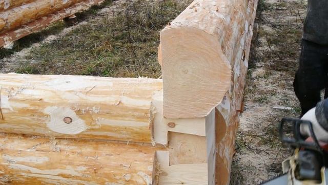 Окоренное бревно, угол "в лапу" смотреть онлайн