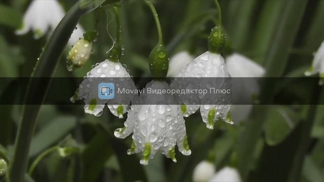 для сна слушать при минимальной громкости смотреть онлайн