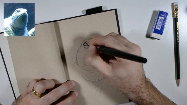 Inking Tutorial with a Brush Pen over a Pencil Drawing with White Accents on Toned Paper смотреть онлайн