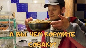 Каша для собаки |Натуральный корм |Чем кормить собаку