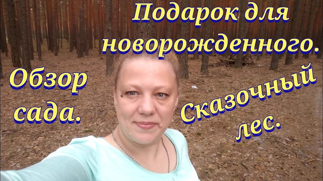 Влог / Касимовский район / Село Самылово / Дом в деревней /Подарок новорожденному смотреть онлайн