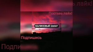 LVNX- МАЛИНОВЫЙ ЗАКАТ