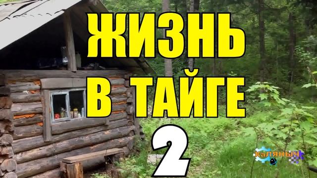 СЛУЧАЙ НА ЗИМОВКЕ | ЖИЗНЬ В ТАЙГЕ 2 из 2