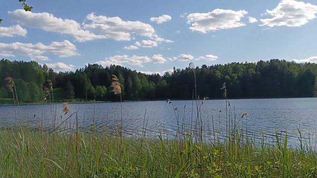 На озере Светлояр - природа и озарения 11 июня 2022 г. смотреть онлайн