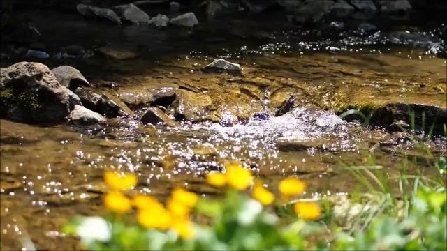 КАПЛЯ СТРАСТИ. ОШО. смотреть онлайн