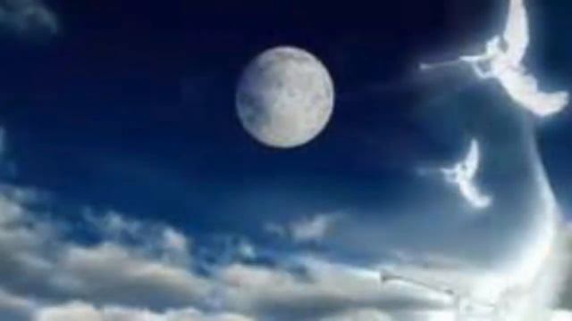 What i Know About heaven смотреть онлайн