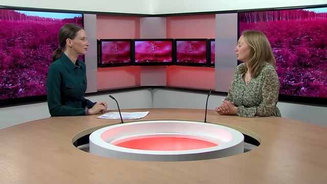 Кислородный след дерева, сопротивляемость огню леса и углекислый газ как пища / Навстречу смотреть онлайн