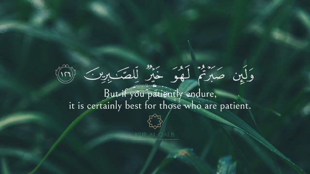 Quran Recitation | Surah Al-Nahl (125-128) смотреть онлайн