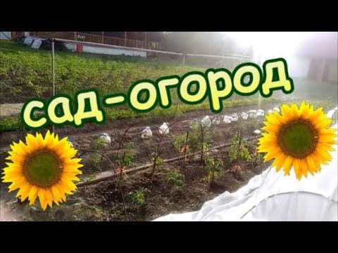 Во саду ли, в огороде Ничего вязального смотреть онлайн