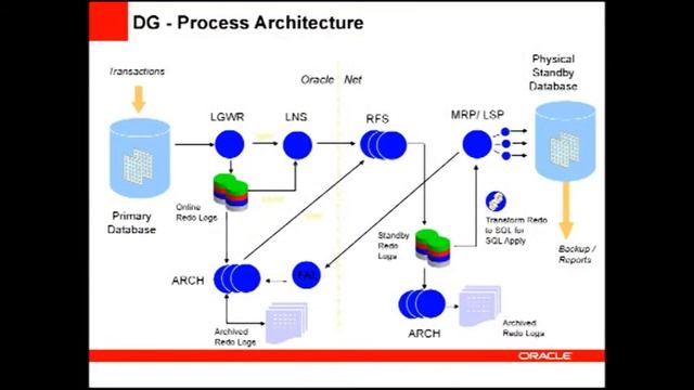 Benefici legati all'adozione di Oracle Enterprise Edition 11g смотреть онлайн