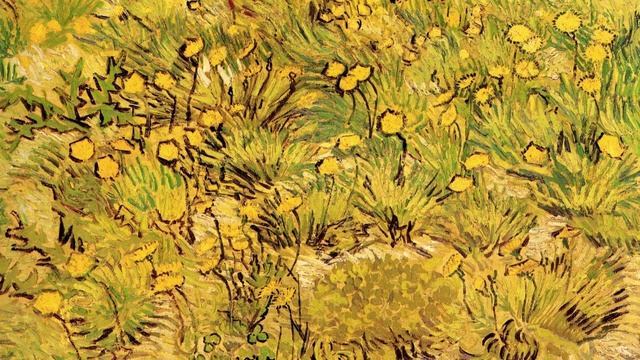 Vintage paintings - Field of Yellow Flowers || Vincent Van Gogh || HD wallpaper for TV, Monitor et смотреть онлайн
