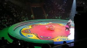 Цирк Филатовых Новокузнецк 14.06.21