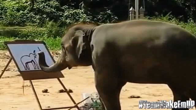 Слон рисует смотреть онлайн