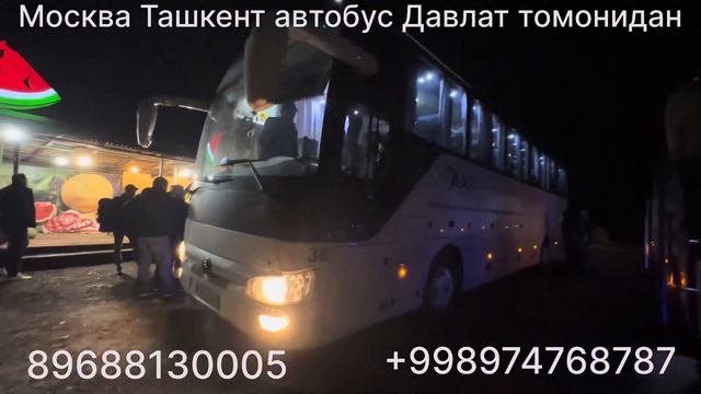 Москва Ташкент автобус Ташкент Москва 2024 автобус смотреть онлайн