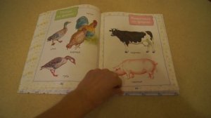 Первая книга малыша от 6 месяцев и старше. Энциклопедия для детей.