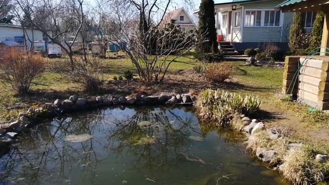 На даче.Обзор сада. Весна. смотреть онлайн