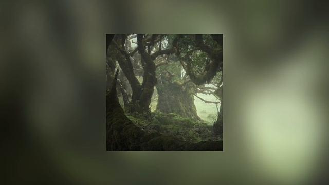 chamber of reflection - sped up смотреть онлайн