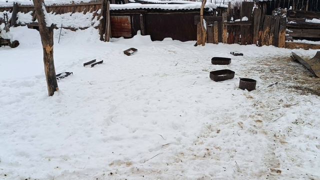 02.01.2023. Природа сходит с ума! смотреть онлайн