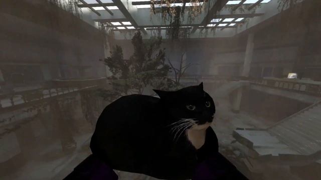 #73 Обзор модов Garry's mod. Кот aka Maxwell the carryable cat смотреть онлайн