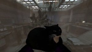 #73 Обзор модов Garry's mod. Кот aka Maxwell the carryable cat