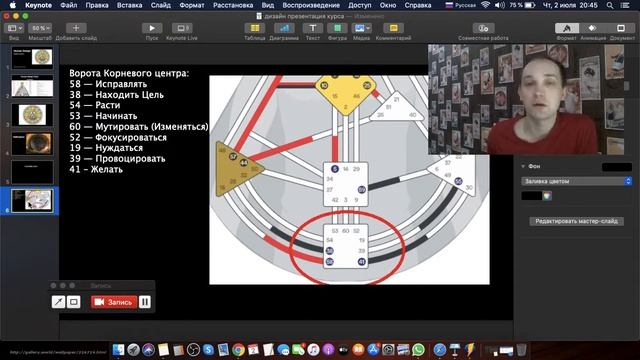 Корневой центр. Базовый курс по системе дизайн человека (фрагмент урока). смотреть онлайн