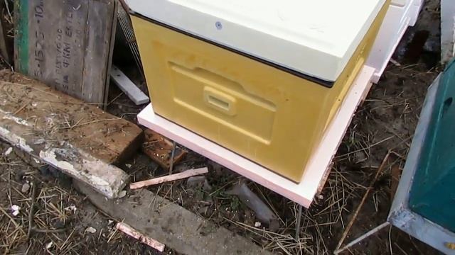 теплый улей для весеннего развития пчел - ульи разных производителей, сравниваю в Подмосковье смотреть онлайн