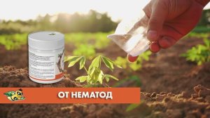 ПРЕПАРАТ ОТ НЕМАТОД