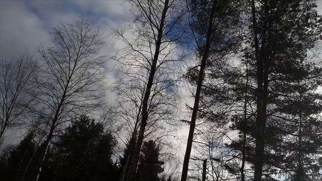Ни дня без прогулки - Вызов ноября 2014 смотреть онлайн