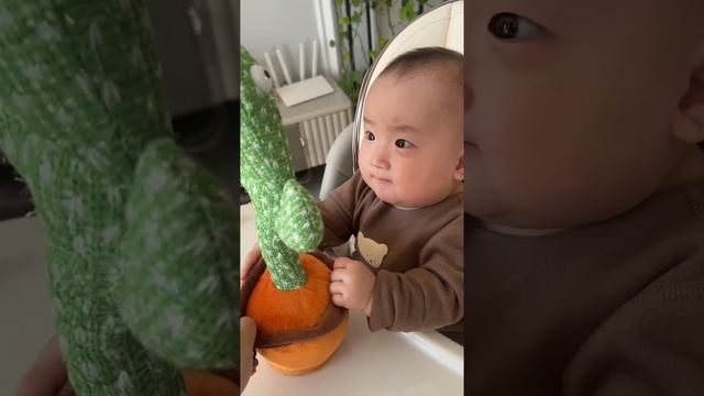 Cute Mexica Plush Dancing Cactus Electric Plush Toy