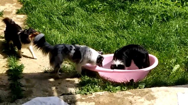 Только соберешься учиться плавать.... смотреть онлайн