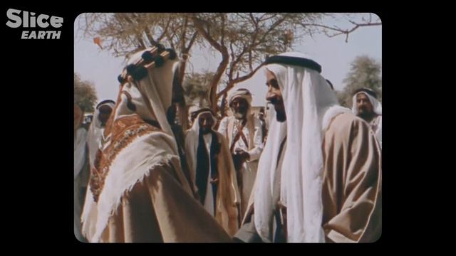 Dates & Cabbages: Liwa's Remarkable Agricultural Tale | SLICE EARTH смотреть онлайн