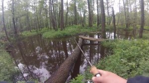 Ловля окуня на малой речке в Калужской области