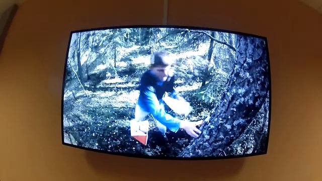 Спортивное ориентирование в школу смотреть онлайн