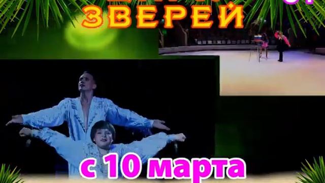 Цирк Зверей смотреть онлайн