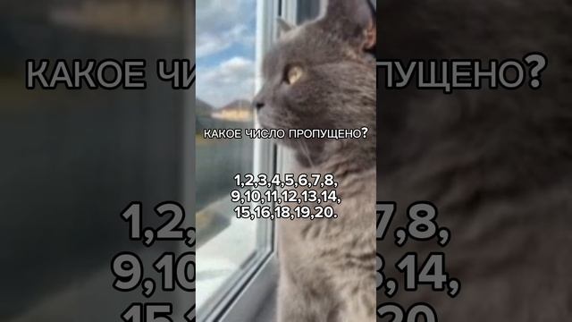10 декабря 2023 г. смотреть онлайн
