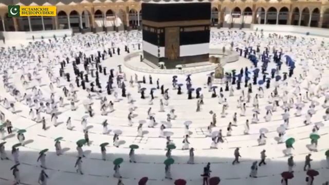Как проходит Хадж в 2020 году смотреть онлайн