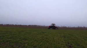 Весенняя подкормка пшеницы сеялкой СЗ-5.4 МТЗ-892