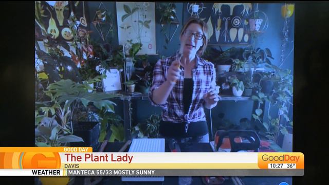 Plant Lady смотреть онлайн