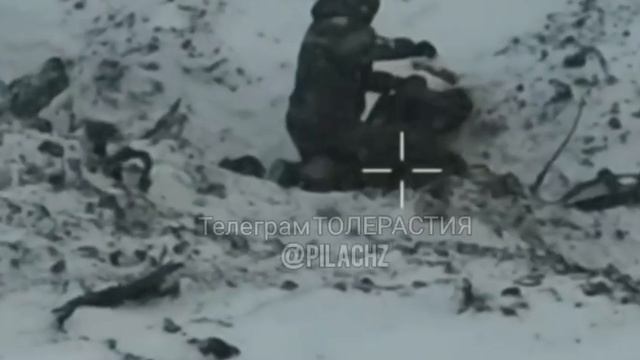 Наш боец скрутил рыпающегося смотреть онлайн