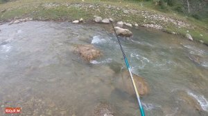 Ловля Усача в горной реке Ярык-Су.