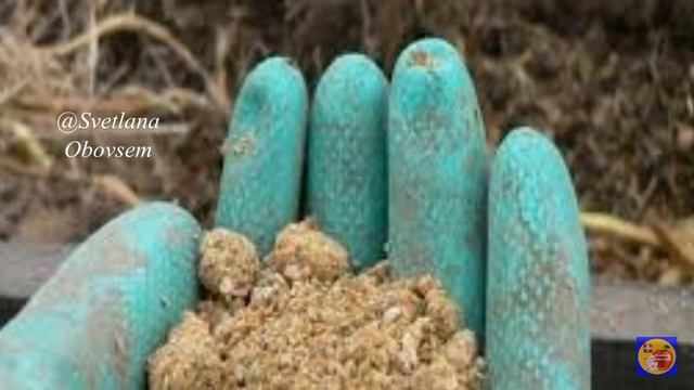 ДОБАВЬ ВСЕГО ГОРСТЬ В ЛУНКИ ПРИ ПОСАДКИ КАРТОФЕЛЯ, И РАССАДЫ.ЗАЩИТИ ОТ ПРОВОЛОЧНИКА,НЕМАТОД,СЛИЗНЕЙ