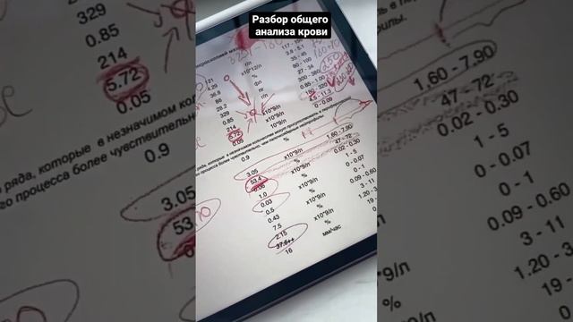 Разбор общего анализа крови смотреть онлайн
