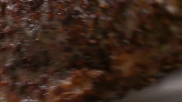 Which Pan Is Right For You?