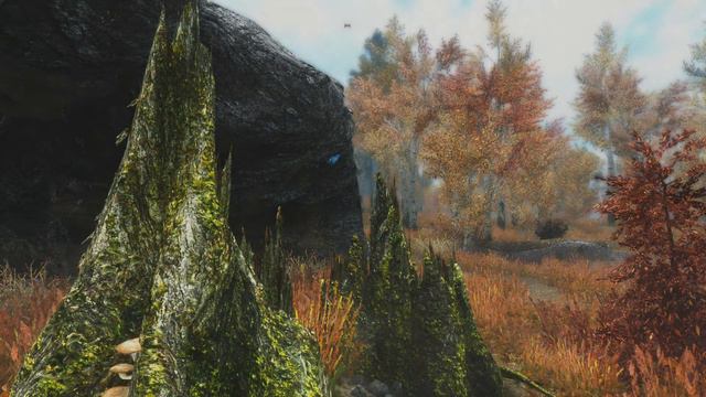 Skyrim mods. Realvision ENB (done correctly) with depth of field and sounds of skyrim. смотреть онлайн